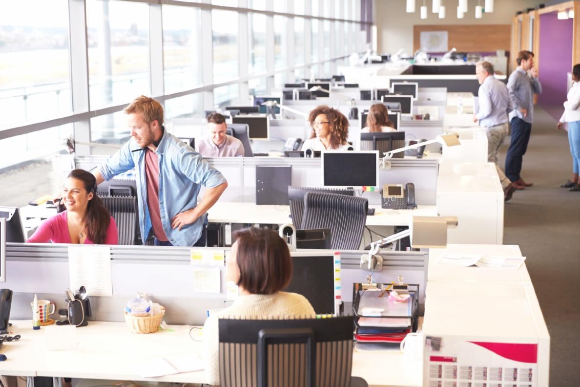 Career development pathways